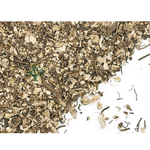 Angelica Root | Vaccinium myrtillus Dried Herbs Herbsmart 