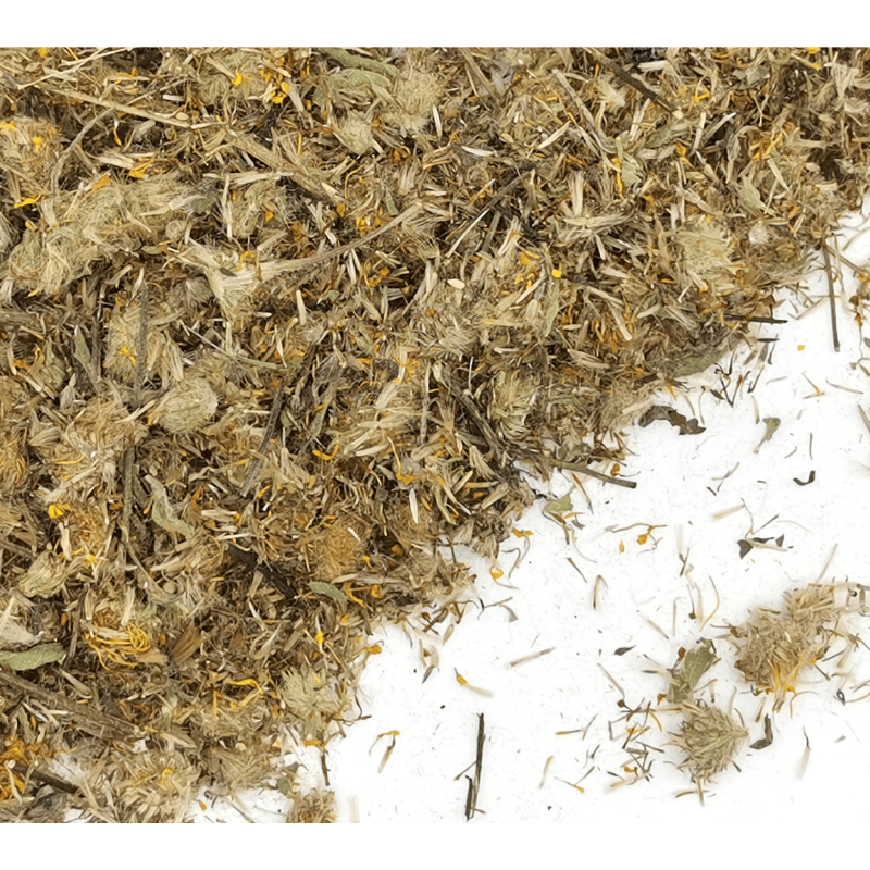 Arnica Flower Whole | Heterotheca inuloides Dried Herbs Herbsmart 
