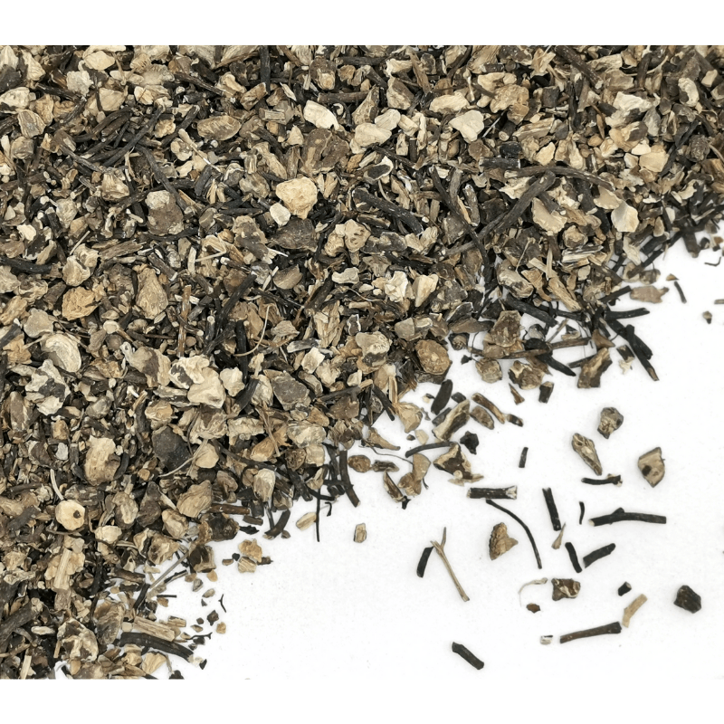 Black Cohosh Root | Cimicifuga racemosa Dried Herbs Herbsmart 