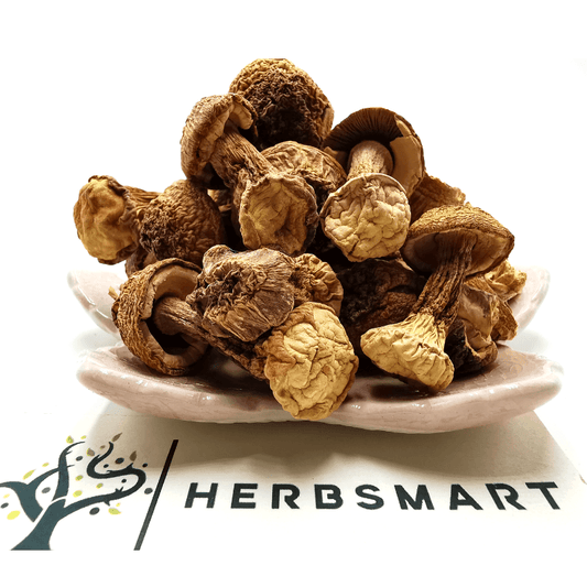 Blaze Mushroom Dried Herbs Herbsmart 113g 