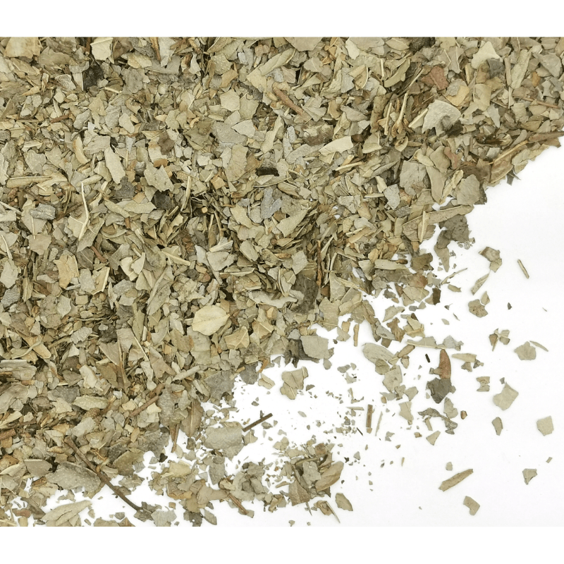Boldo Leaves | Peumus boldus Dried Herbs Herbsmart 