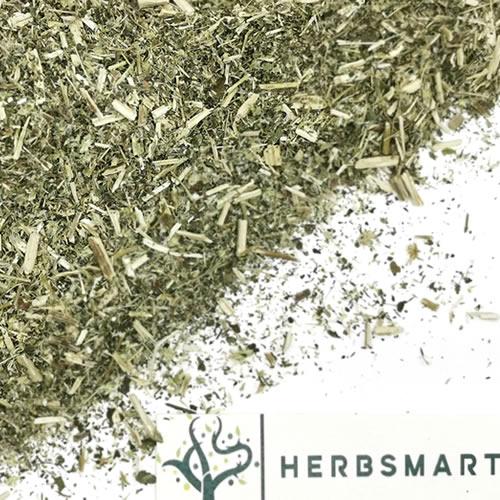 Boneset | Eupatorium perfoliatum Dried Herbs Herbsmart 