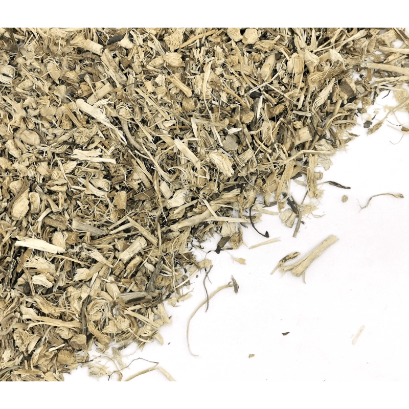 Butcher's Broom | Ruscus aculeatus Dried Herbs Herbsmart 