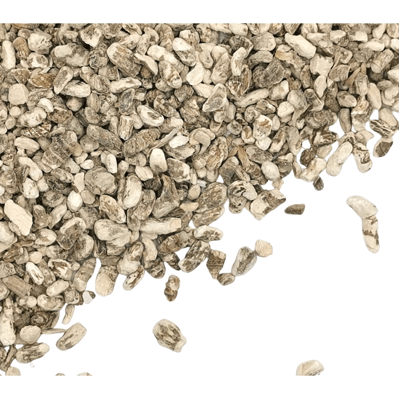 Calamus Root | Acorus calamus Dried Herbs Herbsmart 