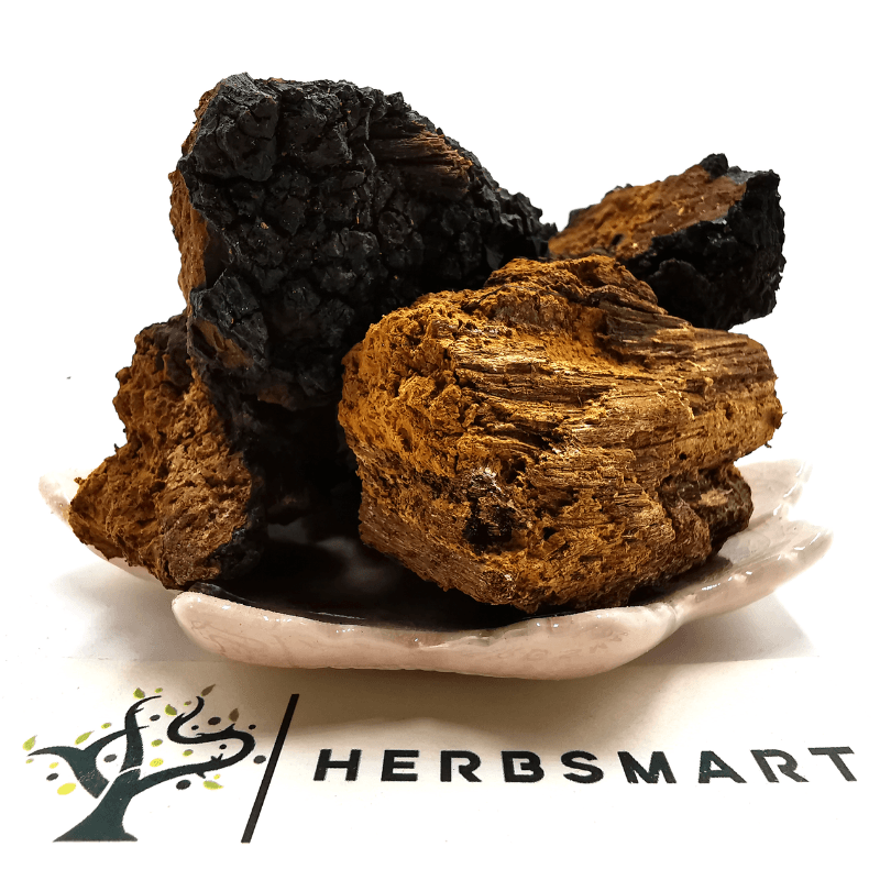 Chaga Mushroom Chunks | Inonotus obliquus Dried Herbs Herbsmart 113g 