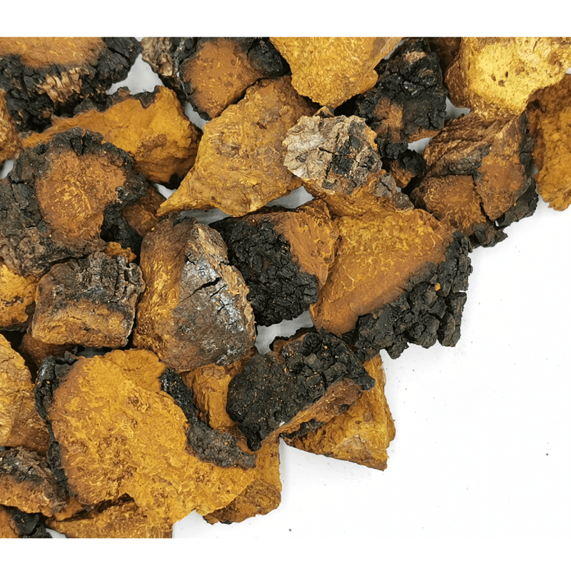 Chaga Mushroom Chunks | Inonotus obliquus Dried Herbs Herbsmart 