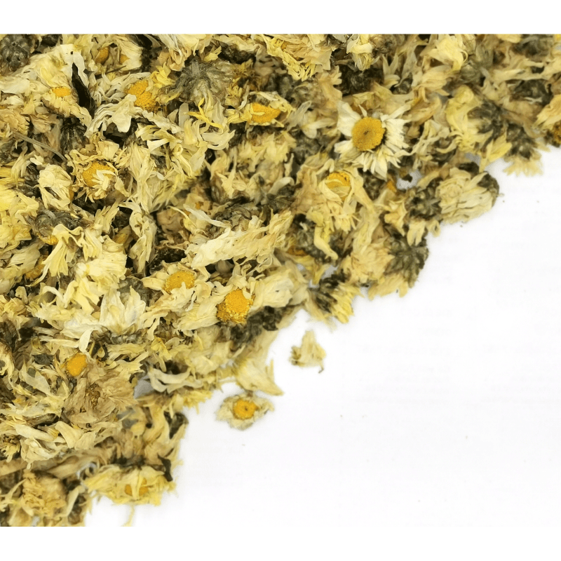 Chrysanthemum Flower Dried Herbs Herbsmart 