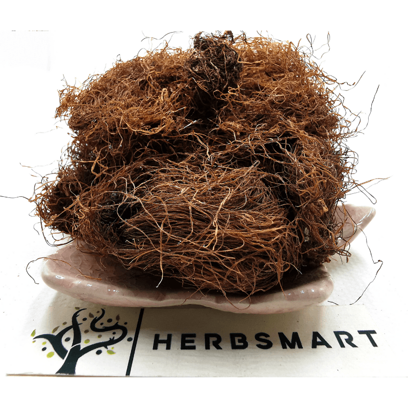Cornsilk | Zea mays Dried Herbs Herbsmart 113g 