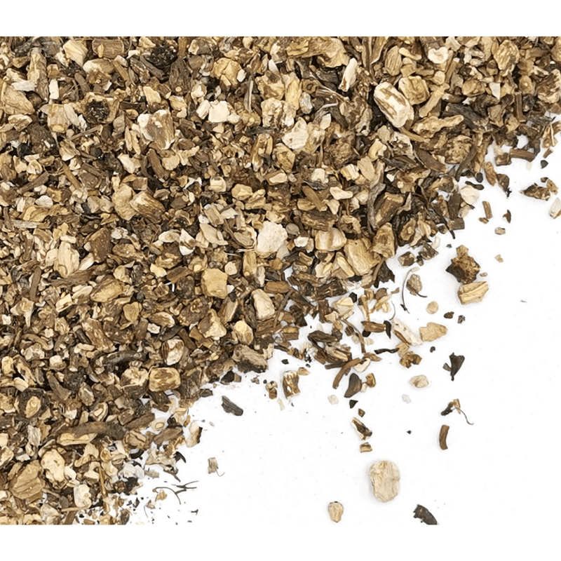 Dandelion Root | Radix taraxaci Dried Herbs Herbsmart 