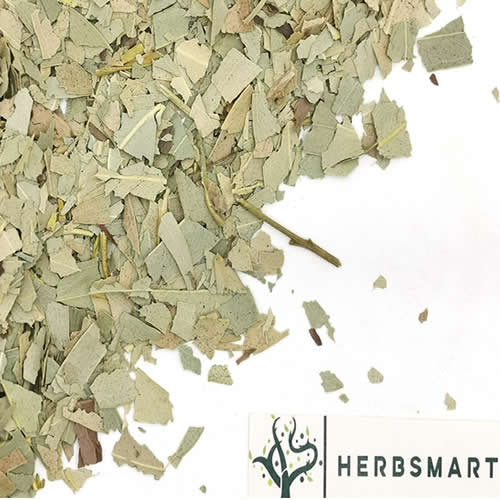 Eucalyptus Leaves | Eucalyptus globules | Herbsmart Dried Herbs Herbsmart 
