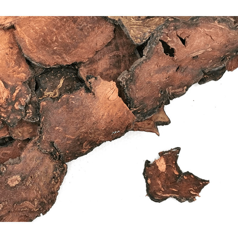 Foti Root Slice | Polygonum multiflorum Dried Herbs Herbsmart 