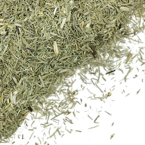 Horsetail | Shavegrass | Equisetum arvense | Herbsmart Dried Herbs Herbsmart 