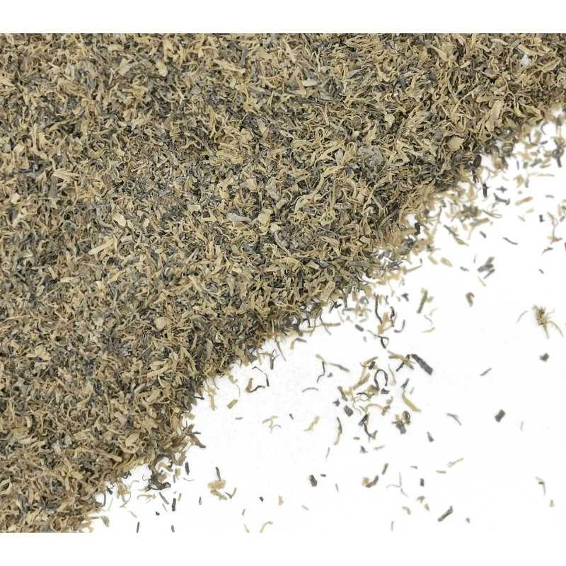 Irish Moss | Chondrus chamissoi Dried Herbs Herbsmart 