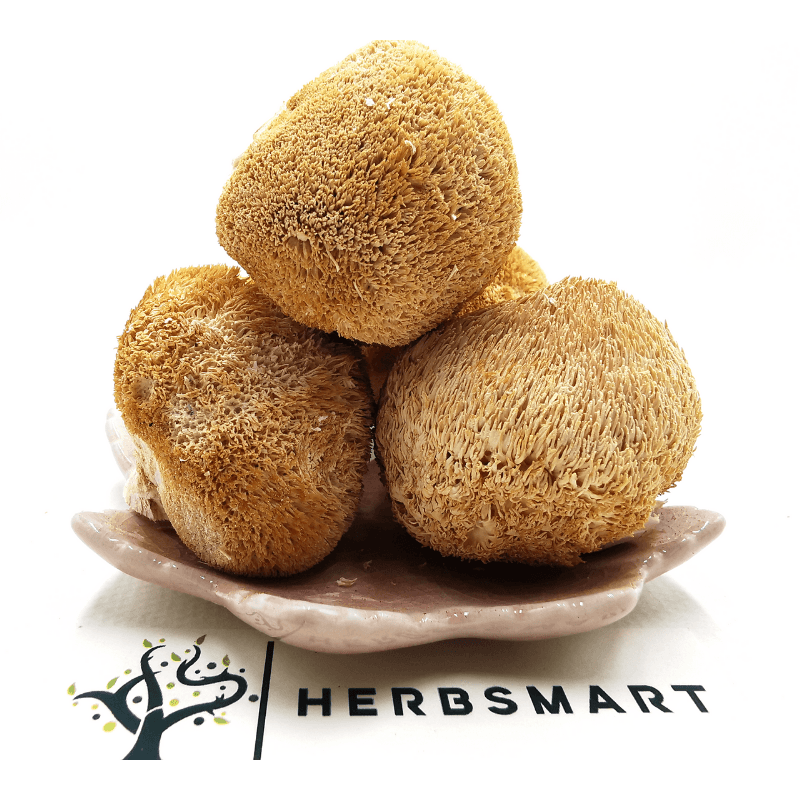 Lion's Maine Mushroom | Hericium erinaceus Dried Herbs Herbsmart 