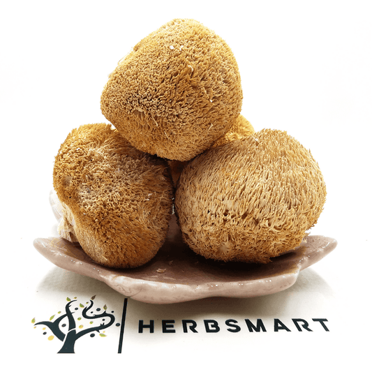 Lion's Maine Mushroom | Hericium erinaceus Dried Herbs Herbsmart 