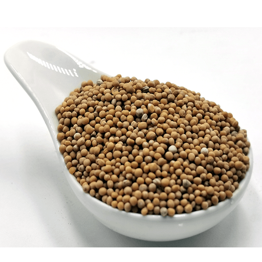 Mustard Seeds | Herbsmart Spices Herbsmart 113g 