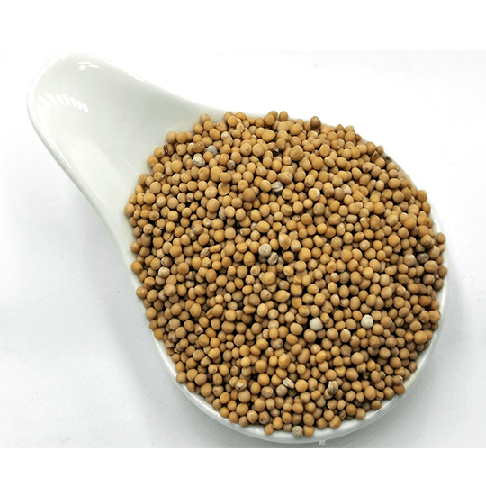 Mustard Seeds | Herbsmart Spices Herbsmart 
