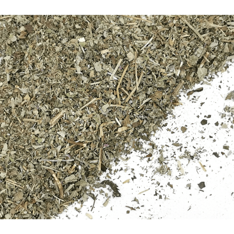 Pennyroyal | Hedeoma pulegioides Dried Herbs Herbsmart 