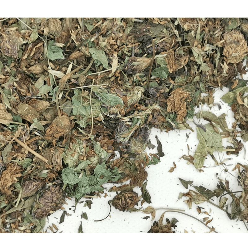 Red Clover Blossoms | Trifolium pratense Dried Herbs Herbsmart 