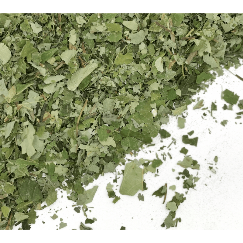 Sassafras Leaves | Sassafras albidum Dried Herbs Herbsmart 