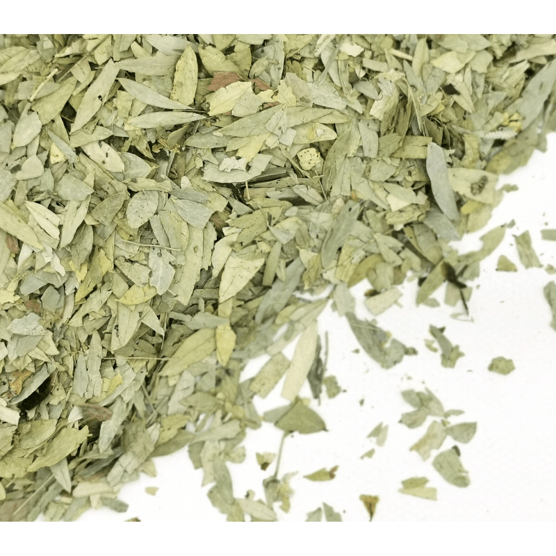 Senna Leaves | Senna species Dried Herbs Herbsmart 