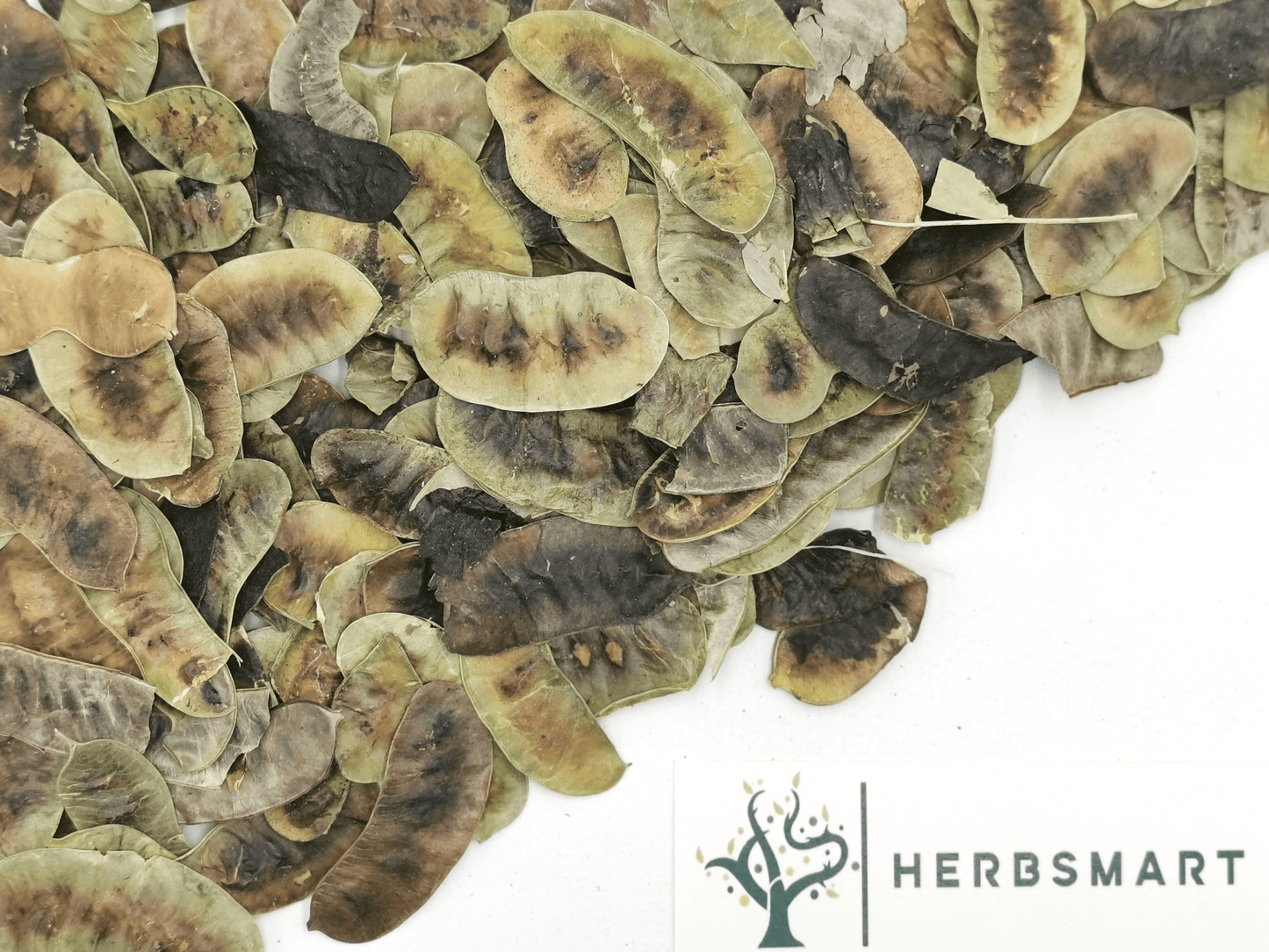 Senna Pods | Senna Alexandrina | Herbsmart Dried Herbs Herbsmart 