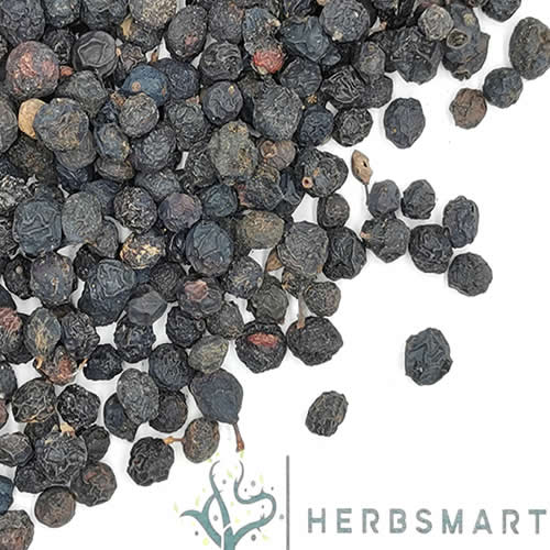 Sloe Berries | Blackthorn Berry | Prunus spinosa | Herbsmart Dried Herbs Herbsmart 