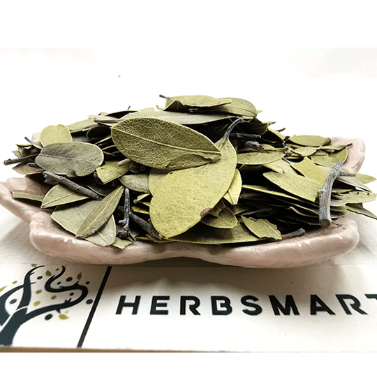 Uva Ursi Leaves | Arctostaphylos uva-ursi | Herbsmart Dried Herbs Herbsmart 113g 