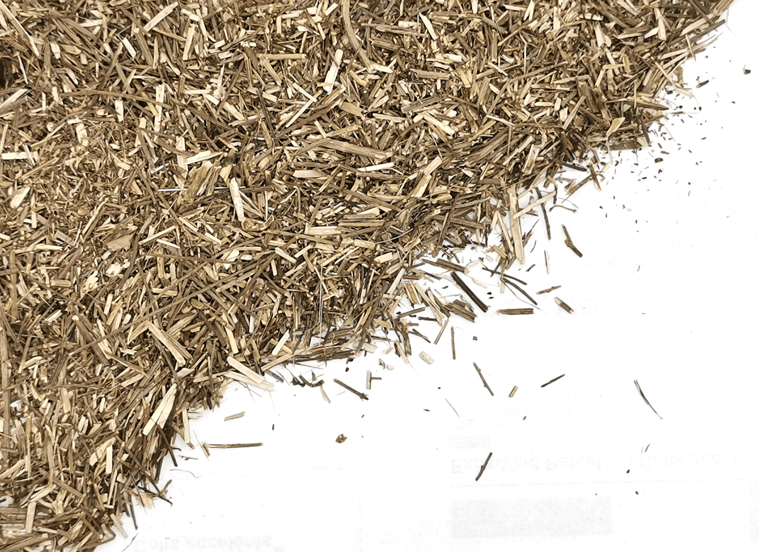 Vervain Herb Dried Herbs Herbsmart 