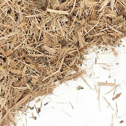White Oak Bark | Quercus alba | Herbsmart Dried Herbs Herbsmart 