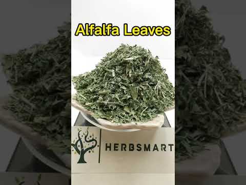 Alfalfa Leaves